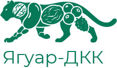 Ягуар-ДКК